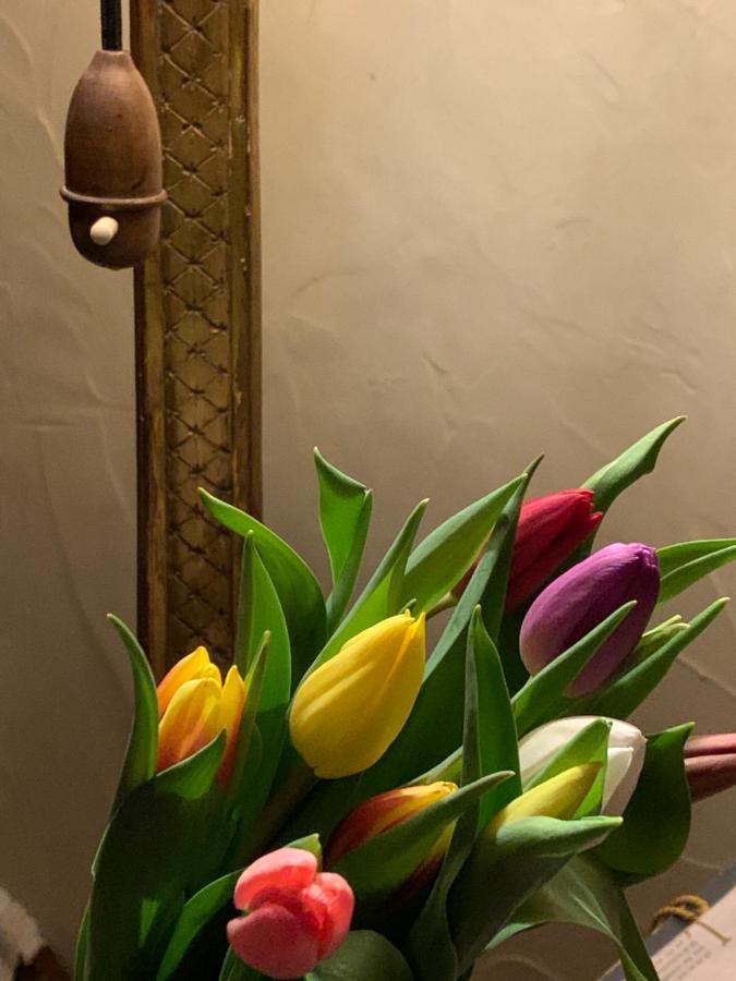 B&B Villa Thibault Лиеж Екстериор снимка